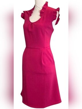 Anthropologie Tabitha Teahouse Magenta Ruffle Textured Knit Dress Size 12